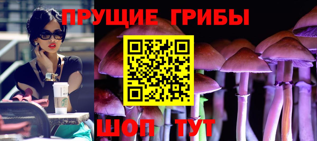 Псилоцибиновые грибы мицелий  Псилоцибиновые грибы Cubensis  Кудымкар  Вход с VPN 